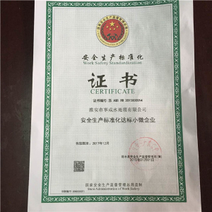 安全生產(chǎn)標準化證書(shū)