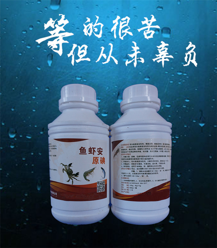 魚(yú)蝦安內圖.jpg